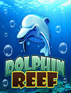 โหลด เกม pussy888 ทดลองเล่นได้ง่าย ใช้เวลาไม่นาน